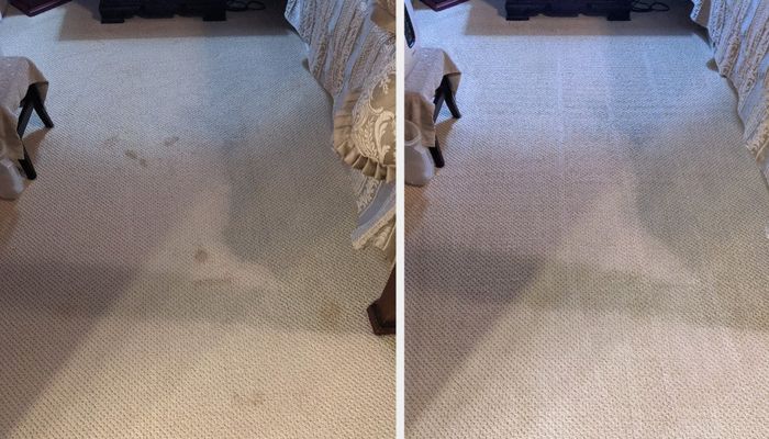 A reviewer's carpet, once stained with cat vomit, now spotless after using a cleaner that removed stains five other products couldn't manage.
