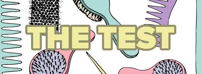 Image showcasing a collection of illustrated hairbrushes with the text 