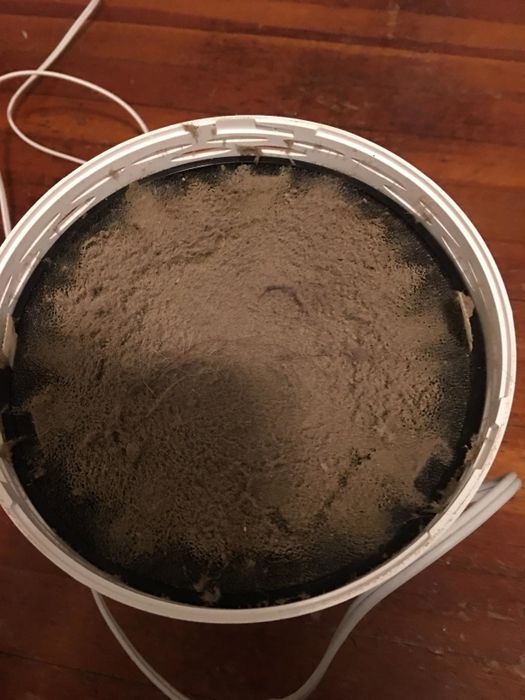 The same air purifier opened up to reveal all the dust it's collected.
