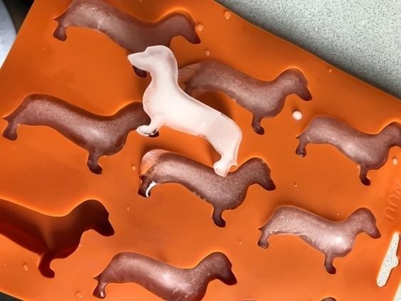 A reviewer showing the tray with a dachshund-shaped ice cube