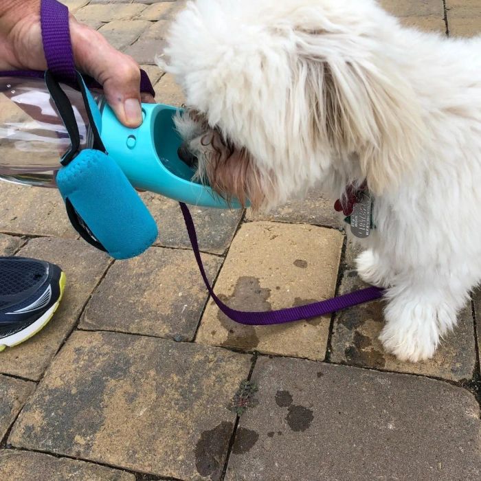 A photo from a reviewer showing someone using the bowl bottle to hydrate their dog during a walk
