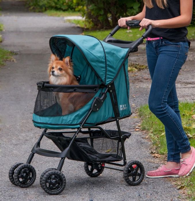 A person strolling with their dog in a pet stroller designed without a zipper, where the dog, a small breed, comfortably rests inside.