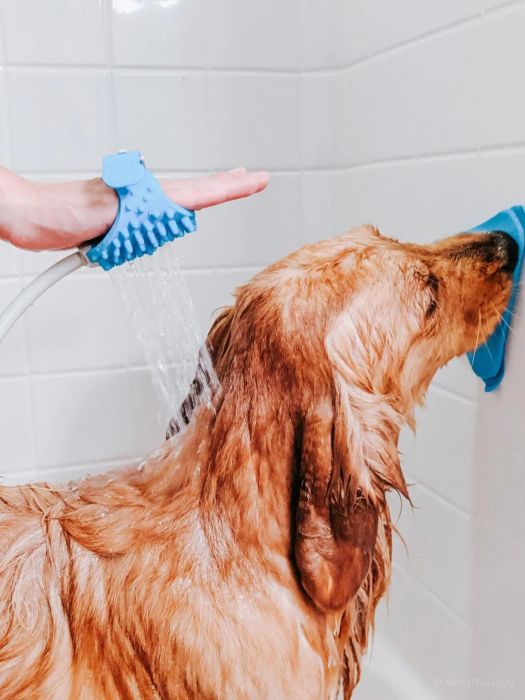 A reviewer shares a photo of a dog enjoying a bath, being rinsed down with water from the convenient water brush.