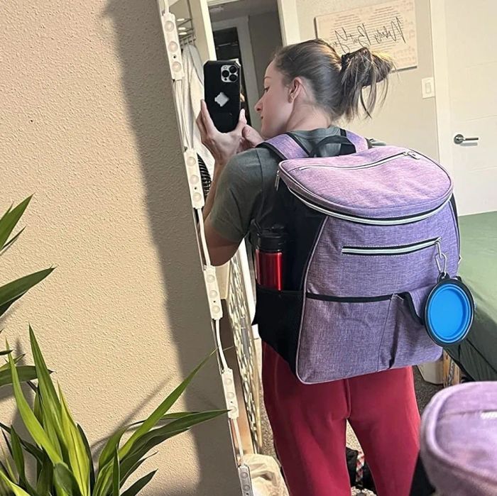 A person taking a mirror selfie while wearing a large backpack and standing in a room filled with plants. This image is featured in an article categorized under Shopping.