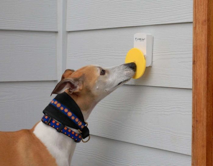 A dog uses its nose to press a yellow disc on the doorbell, signaling for attention.