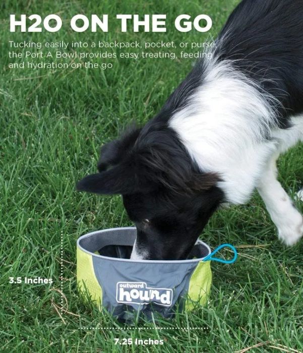 A bowl that's perfect for holding food or water.