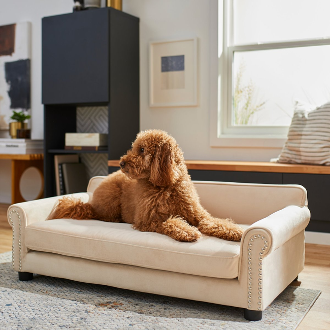 A fluffy dog perched on a luxurious pet sofa in a contemporary living room with sleek, minimalist decor