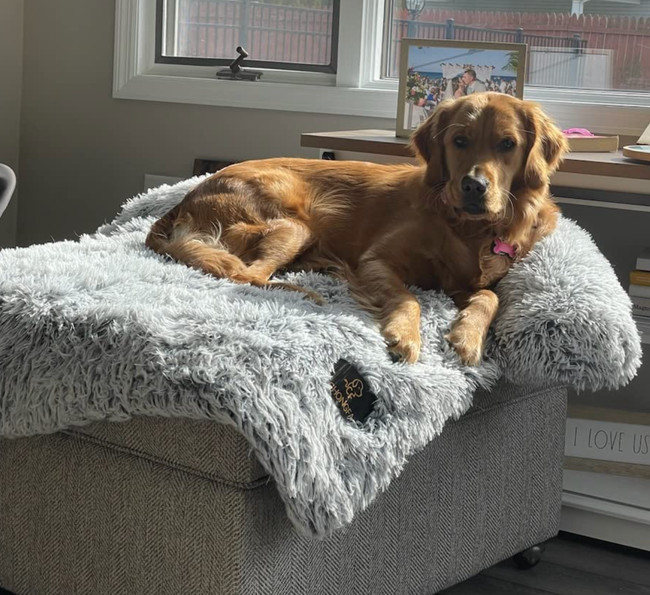 A reviewer’s Golden Retriever lounging on the mat placed on an ottoman