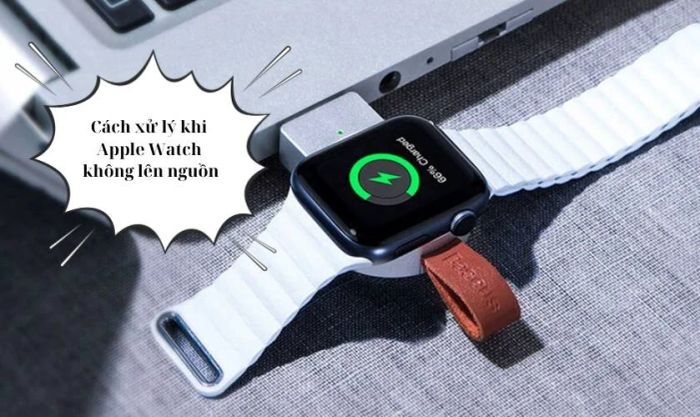 Khởi động lại Apple Watch bằng cách cưỡng ép