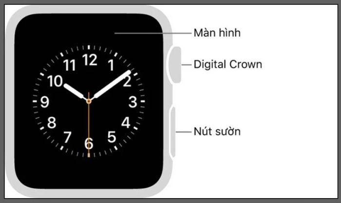 Hướng dẫn chi tiết cách bật nguồn Apple Watch khi hết pin