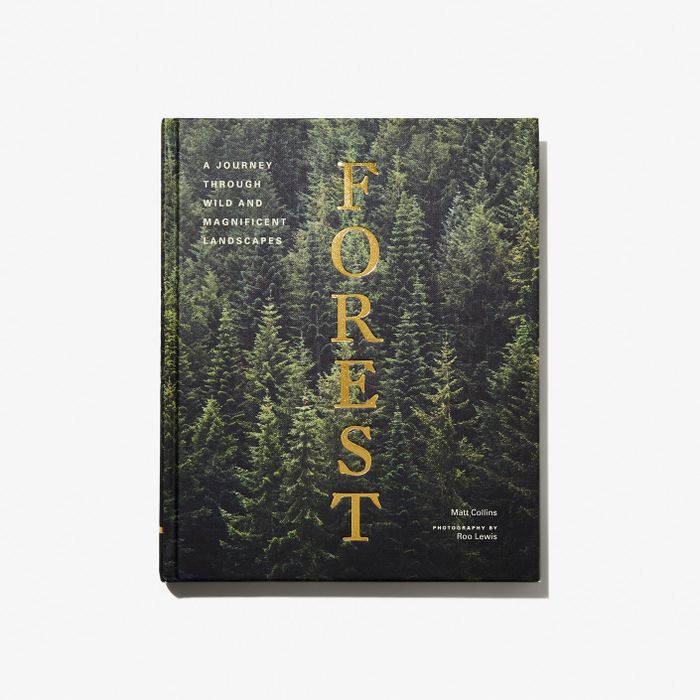 a hardcover book featuring a forest-themed cover with gold foil lettering