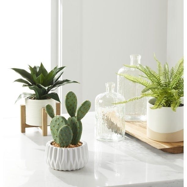 The faux agave plant placed next to a faux cactus and fern.
