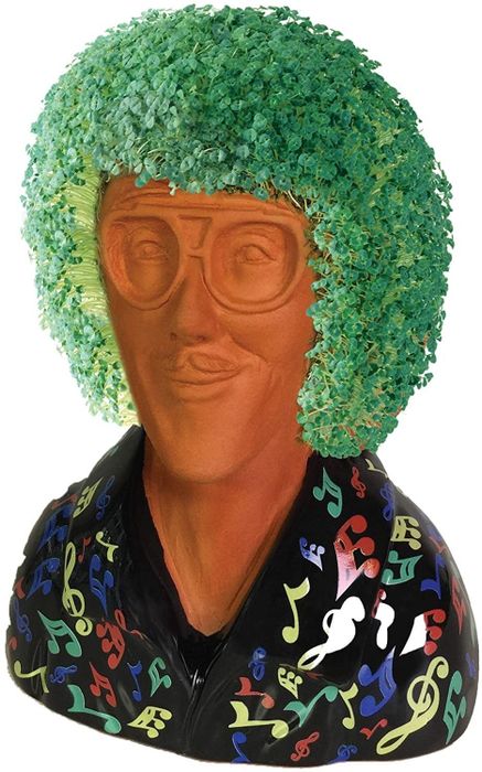 a retro-style Weird Al figure with sprouting chia hair