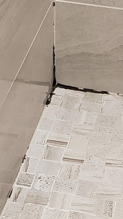 Mold buildup in the corner of a shower floor and wall.
