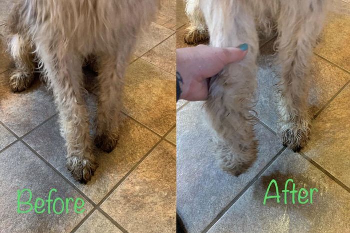 A reviewer's dog with muddy paws, followed by clean ones after using the paw cleaning tube.