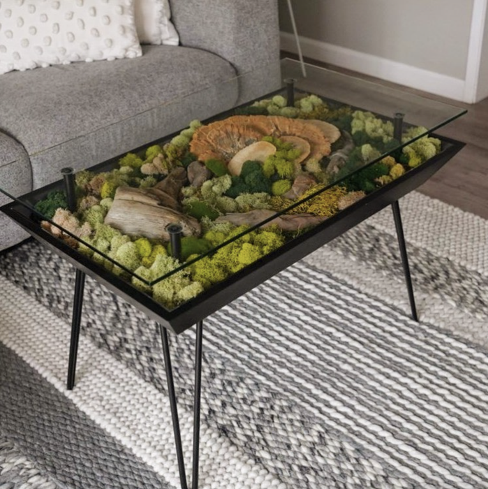 A coffee table featuring plants neatly arranged under a glass top.