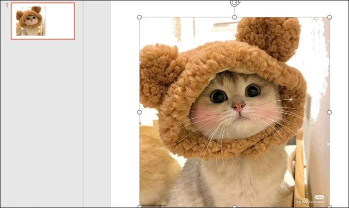 Loại bỏ màu sắc không mong muốn