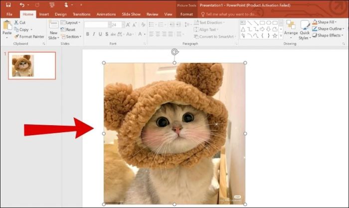 Hướng dẫn chi tiết cách làm ảnh trong suốt trong Powerpoint