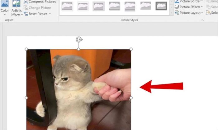 Có thể cắt ảnh trong PowerPoint không?