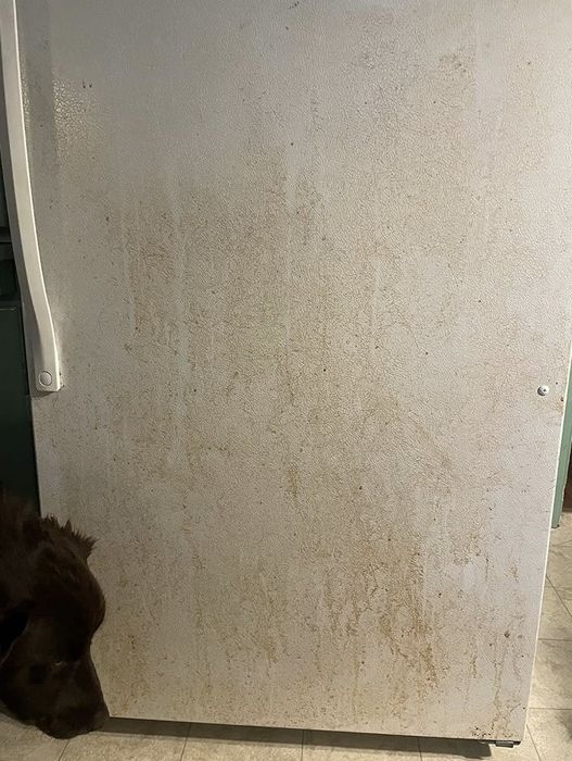 A white refrigerator door showing noticeable dirt and grime, with a brown dog’s head partially visible at the lower left corner.