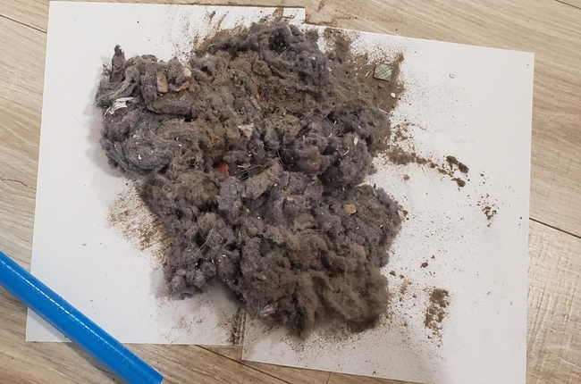 A clump of dust, hair, and debris resting on a white sheet of paper, next to a blue pen on a wooden floor.
