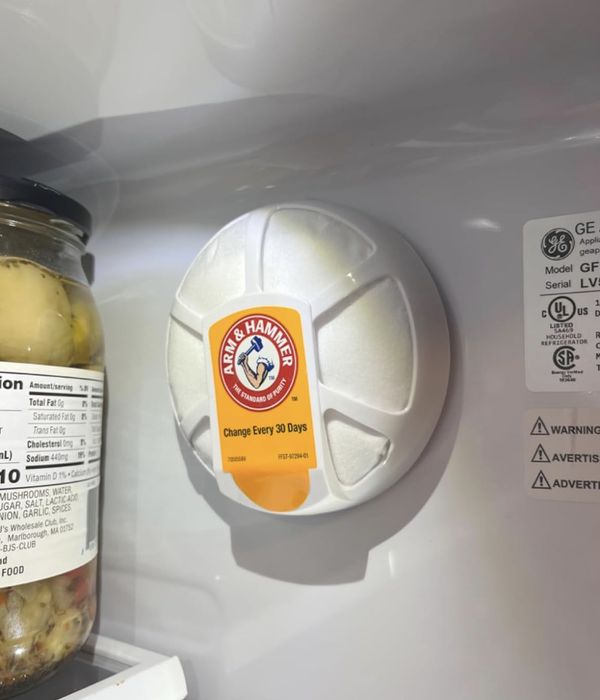 Arm & Hammer Fridge-N-Freezer Odor Absorber sitting inside a refrigerator next to a jar of pickles. The label recommends replacing it every 30 days.