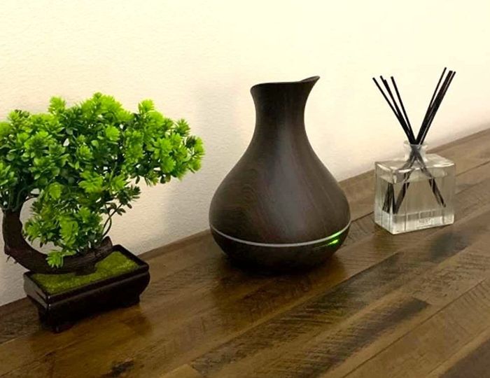 A reviewer's photo of the diffuser resting on a table next to a small bonsai tree and a reed diffuser, illustrating that it's about the same size as these items.