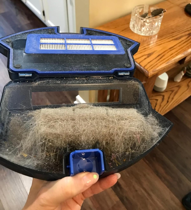 A reviewer photo displaying the vacuum's internal canister packed with dust and pet hair.
