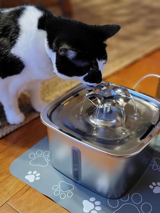 A black and white cat drinking from a stainless steel pet water fountain, placed on a paw-printed mat