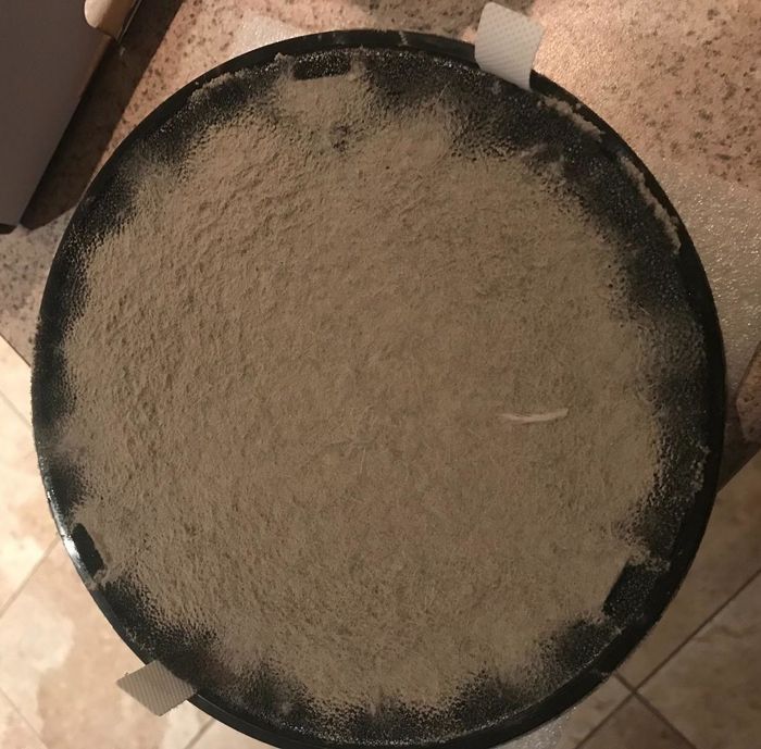 A photo from the reviewer showing how much dust the filter collected.