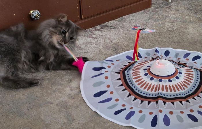 A cat playing with an interactive toy on the floor, featuring a circular patterned mat and a moving butterfly attachment