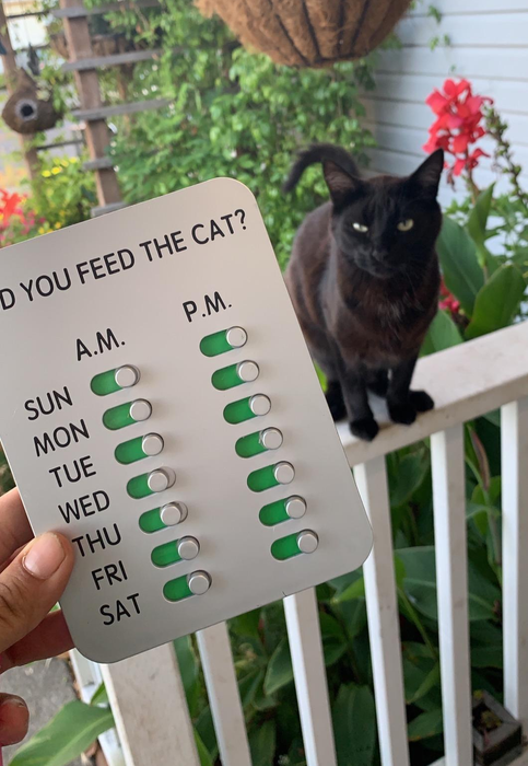A reviewer holding the