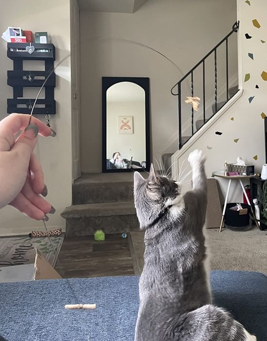 A reviewer photo showing them playing with their cat using the cat dancer toy.