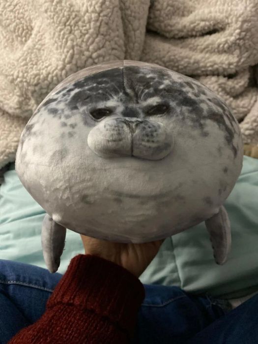 A reviewer is seen holding the adorable seal-shaped pillow.