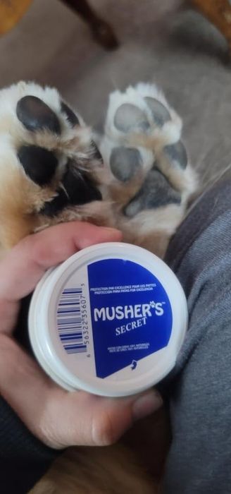A person holding a container of Musher's Secret paw protection cream, with a cat’s paws visible in the frame.