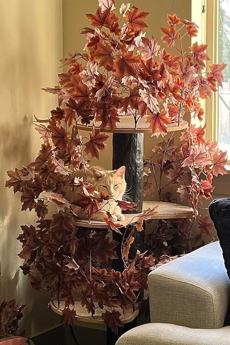 A photo shared by a reviewer of a cat blending in with the autumn-colored branches of a cat tree.