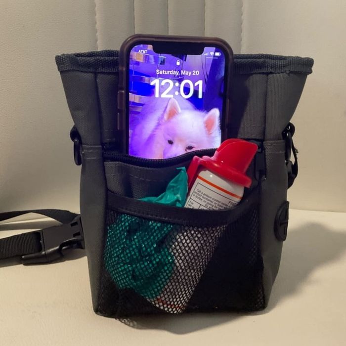 A reviewer shares a photo of the treat pouch with a phone and other pet-related items inside.