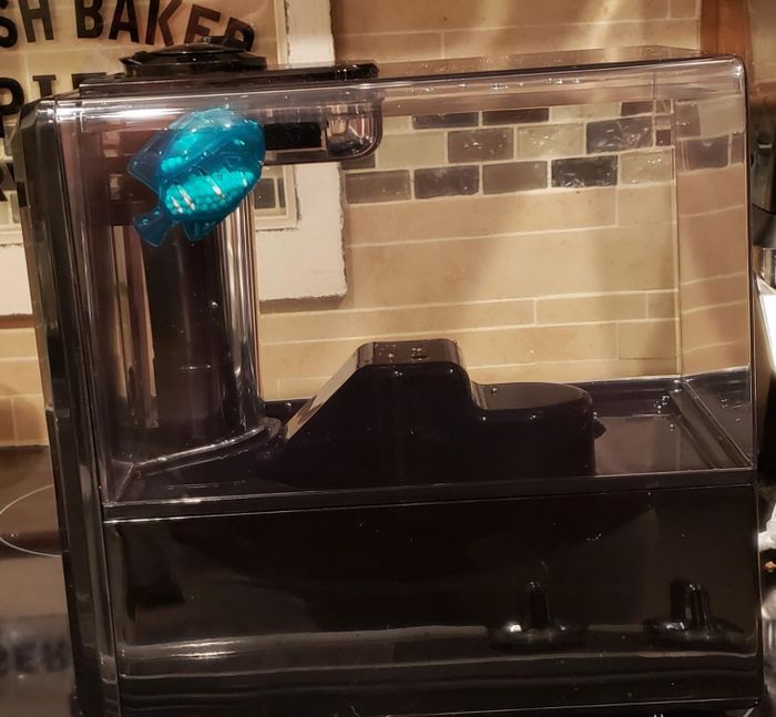 A reviewer’s fish-shaped humidifier cleaning cartridge floating inside a humidifier.