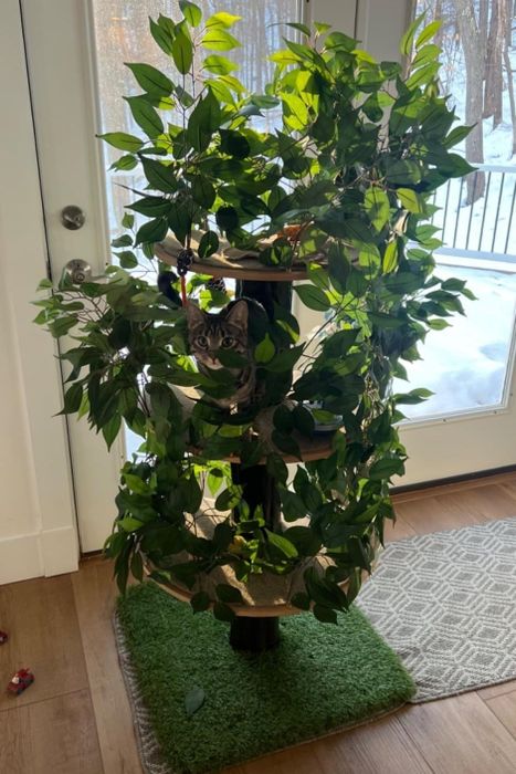 A photo shared by a reviewer showing a cat hiding amongst the lush leaves of a vibrant green cat tree.