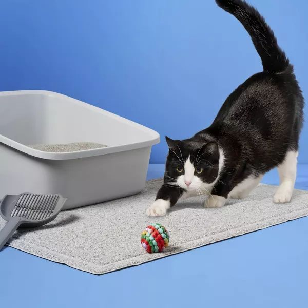 A black and white cat plays with a colorful ball next to a litter box and scoop on a mat