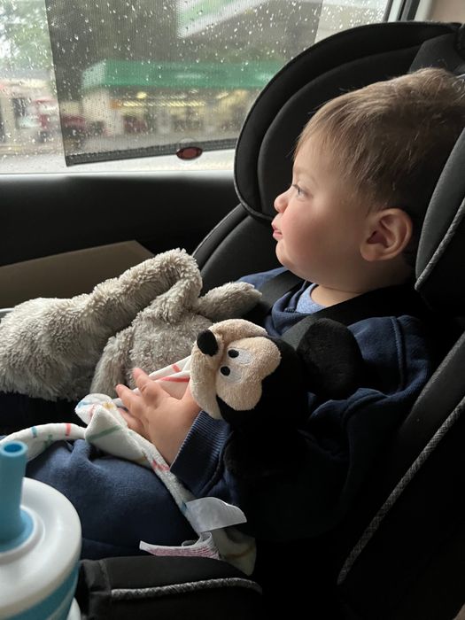 a toddler safely secured in their car seat