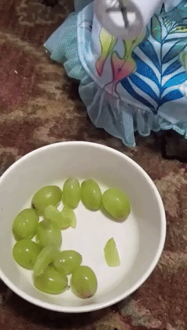 A gif from the reviewer showing the grape cutter at work, cutting grapes with ease.