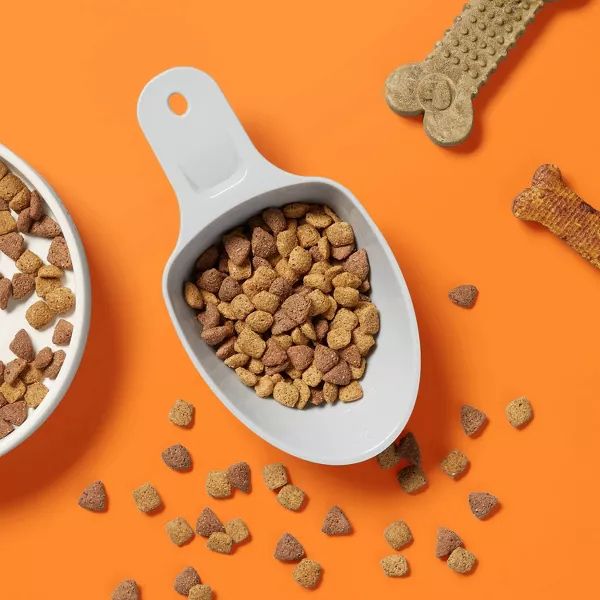 The scoop filled with dry dog food