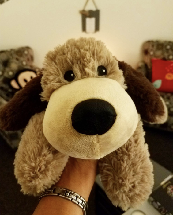 A stuffed dog.