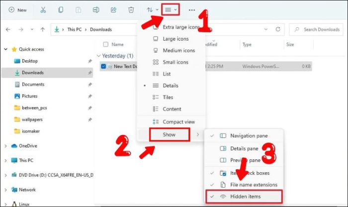 Hướng dẫn cách hiển thị tệp ẩn trên Windows 11