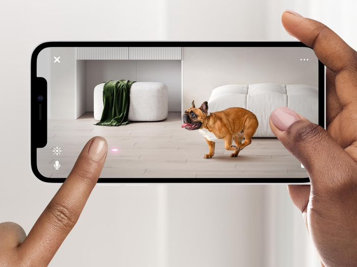 A person holding a phone showing a dog on-screen with text highlighting the real-time 1080p HD video and wide-angle view features