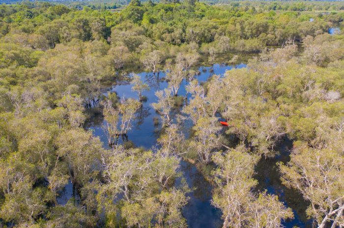 “สวนพฤกษศาสตร์” และ “ทุ่งโปรงทอง” สองแหล่งท่องเที่ยวแนวรักษ์โลกแบบ Net Zero ในภูมิภาคตะวันออก