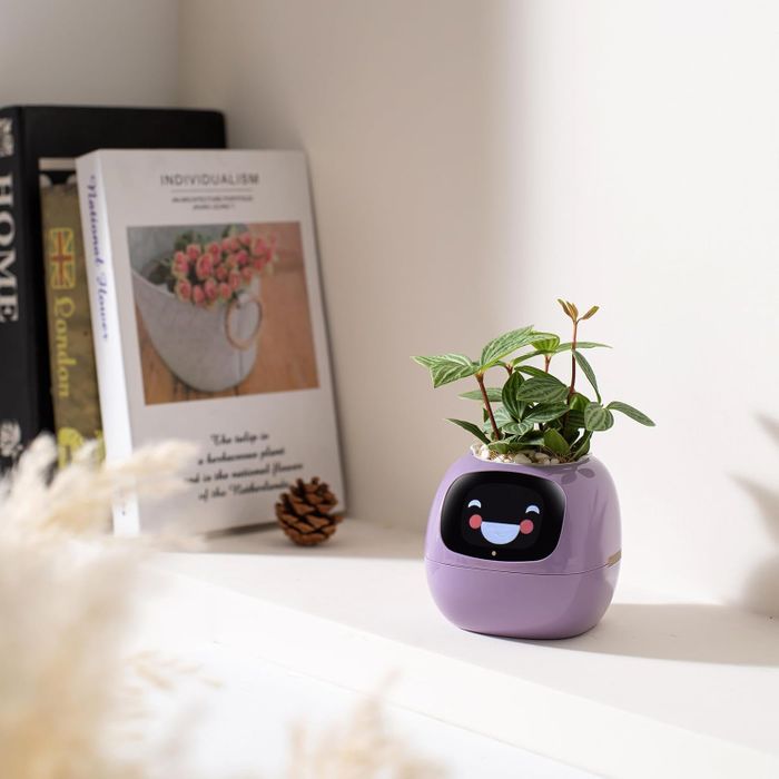 A smart pet planter with a plant inside