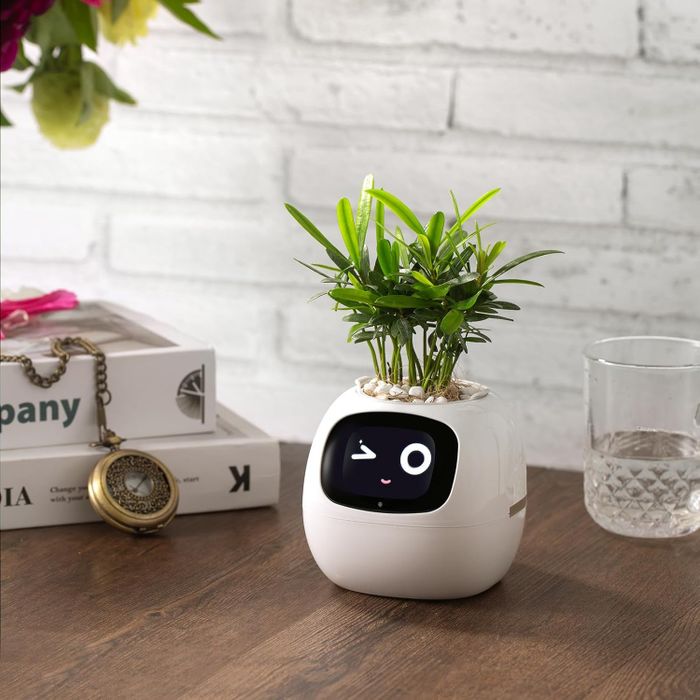 A smart pet planter with a plant inside