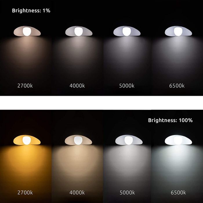 a recurring image of the bulbs installed in a lamp, showcasing different brightness settings